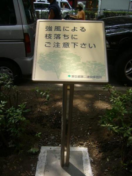 本日のＭＶＰ画像