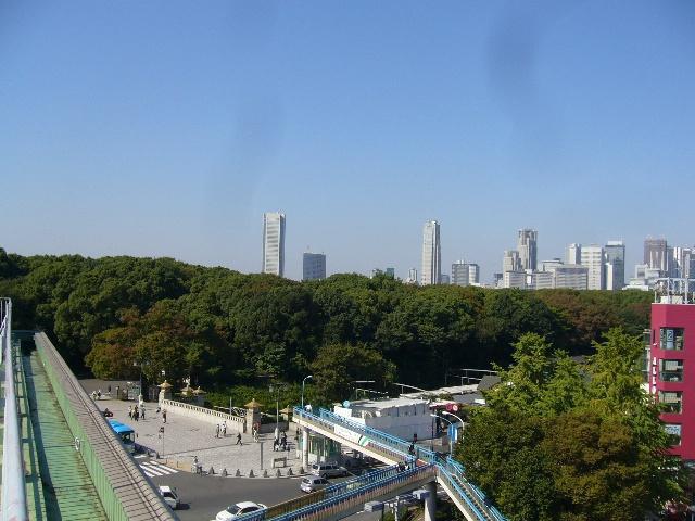 秋晴れだー！画像