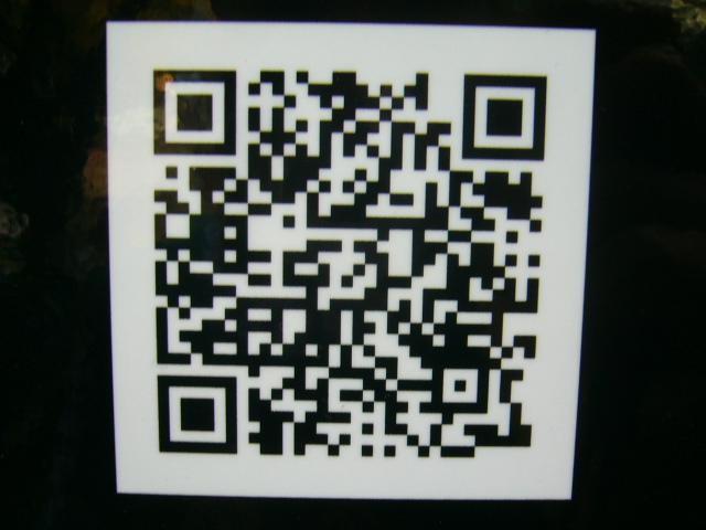 秋の青空に、のんびりとした朝画像