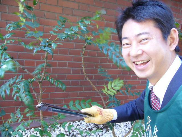 秋の青空に、のんびりとした朝画像