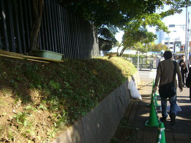 秋の青空に、のんびりとした朝画像