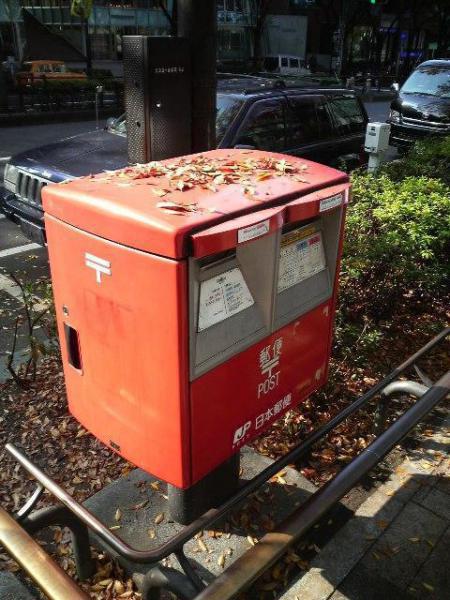 紅葉だぜ、ベイベー！画像