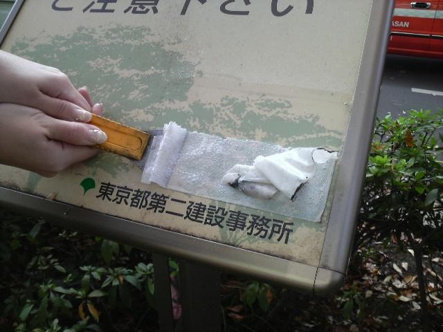 紅葉だぜ、ベイベー！画像