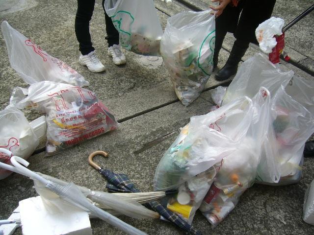 紅葉だぜ、ベイベー！画像