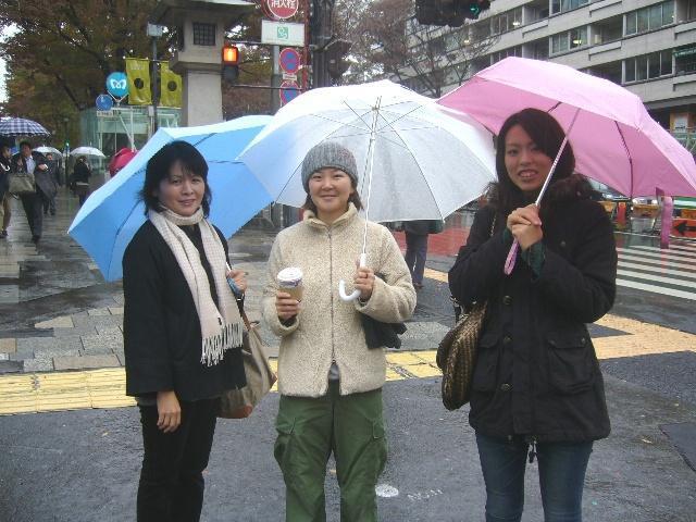 せっかく来たのに〜画像