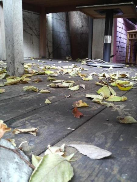 最近の事務局より画像