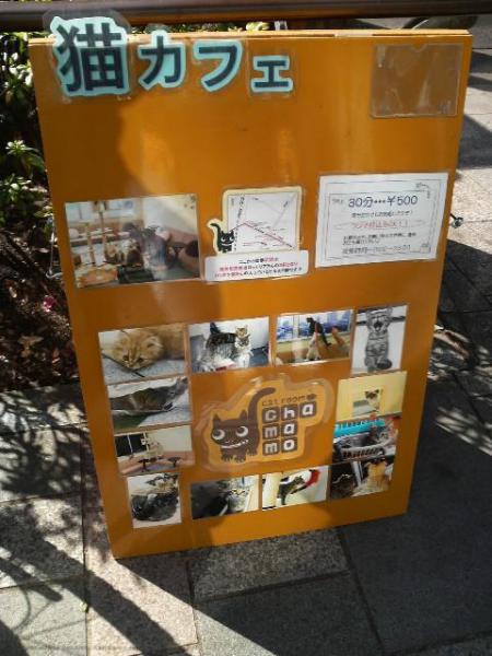 お誕生日おめでとうございます！画像