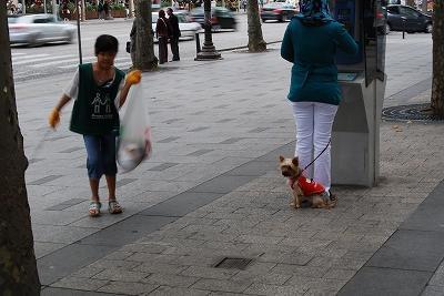 [Paris] ８月２３日（土）シャンゼリゼ通り画像