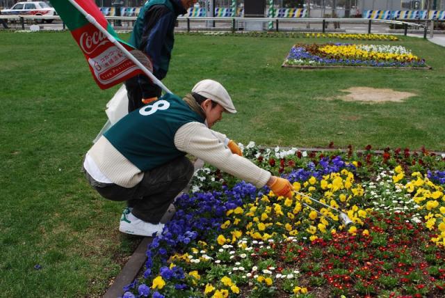 大通公園でグリーンバードwithハト画像