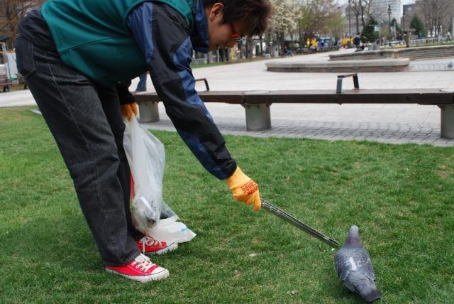 大通公園でグリーンバードwithハト画像