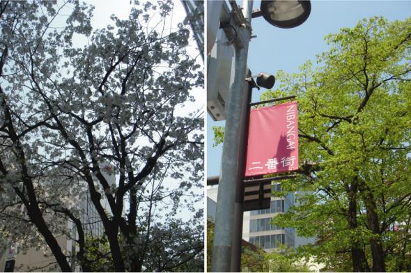 札幌キックオフ！定例そうじスタートです☆画像