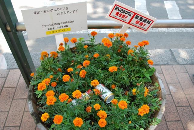 8/8 歌舞伎町の文野が来たよ！画像