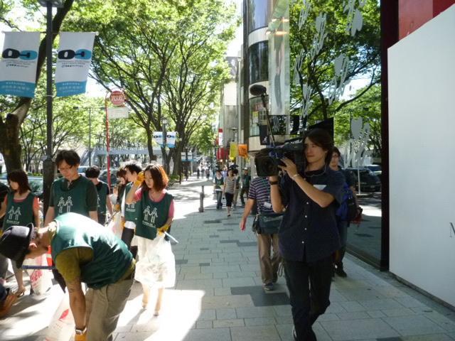 緑の鳥たち、表参道に集まる。画像