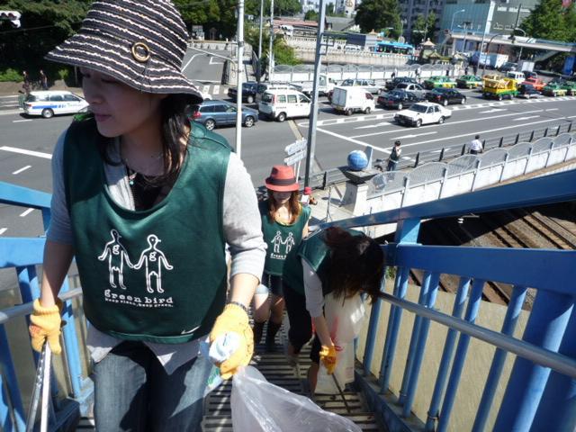 緑の鳥たち、表参道に集まる。画像