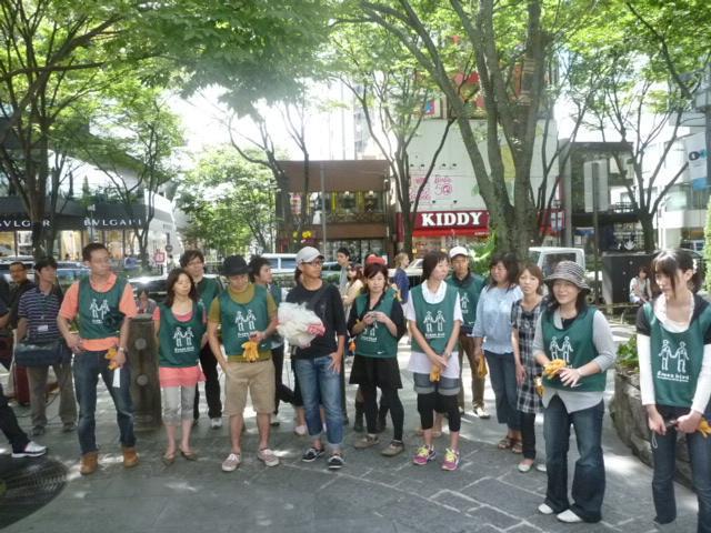 緑の鳥たち、表参道に集まる。画像