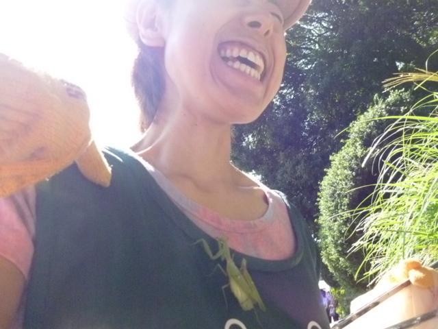 秋空&hellip;と言っても、まだ夏の陽気。画像