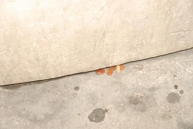 [Paris]Rond-Point des Champs-Elysees/シャンゼリゼ画像