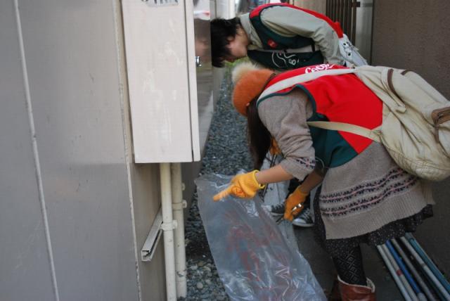 10/10　台風が過ぎの昼そうじ画像