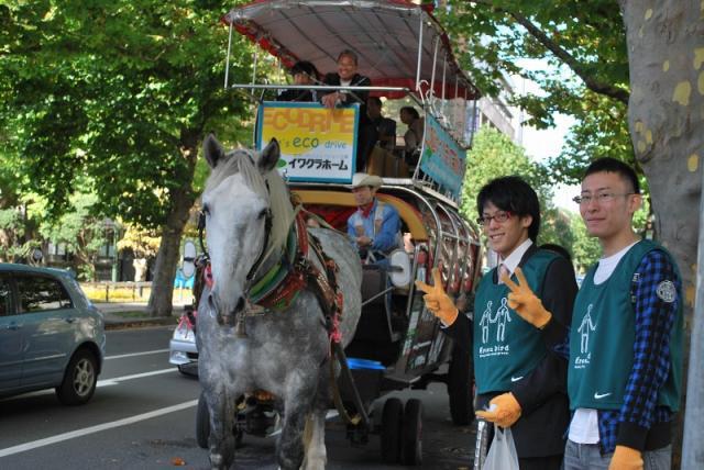 10/24 落ち葉の季節、サッポロ画像