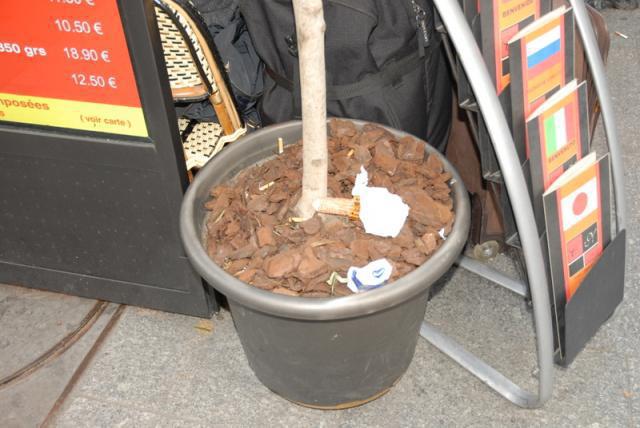 [Paris]Gard de Nord/北駅画像