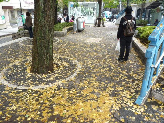 さむっ！！画像