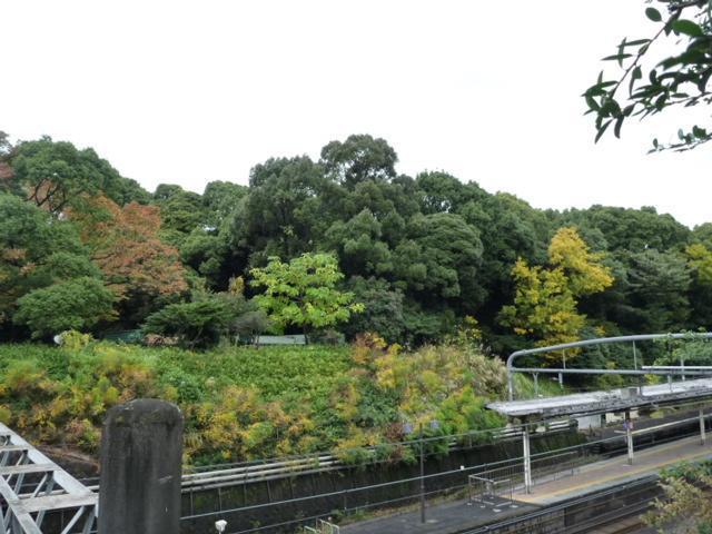 さむっ！！画像