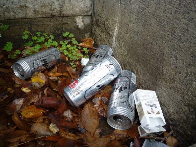 ご飯のついでにお掃除みたいな、ね画像