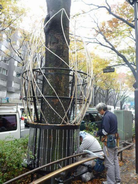 ご飯のついでにお掃除みたいな、ね画像