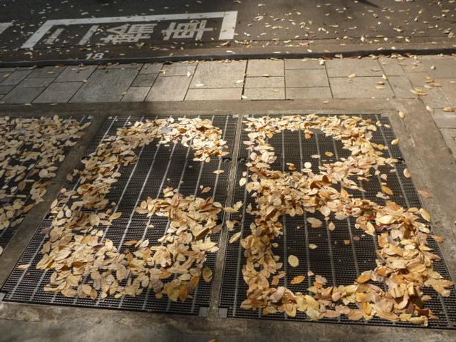 Hey! みんな元気かい?画像