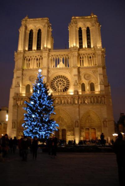 [Paris] Notre-Dame de Paris / ノートルダム大聖堂前画像