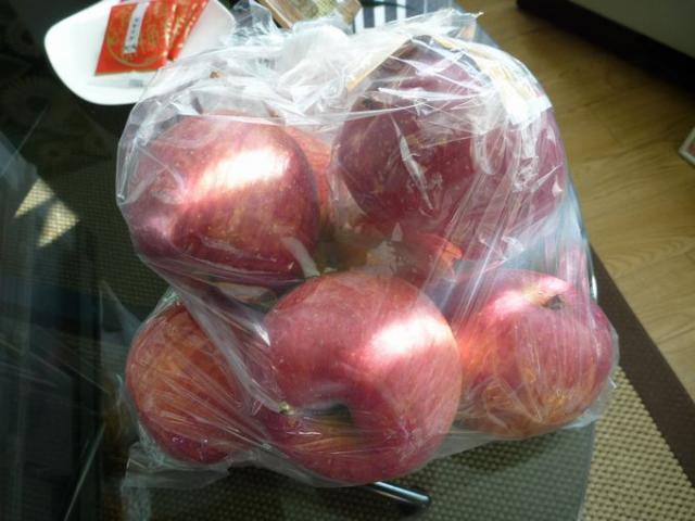 2010年6日目画像