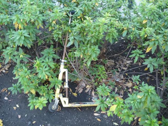 寒くて寒くて凍えるよ・・・画像