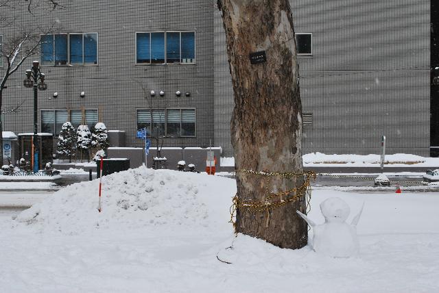 2/7 第61回さっぽろ雪まつりおそうじ画像