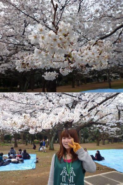 桜満開！桜子の誕生日の巻画像