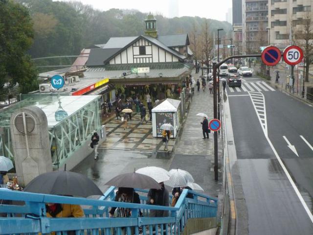 桜満開、そして雨画像