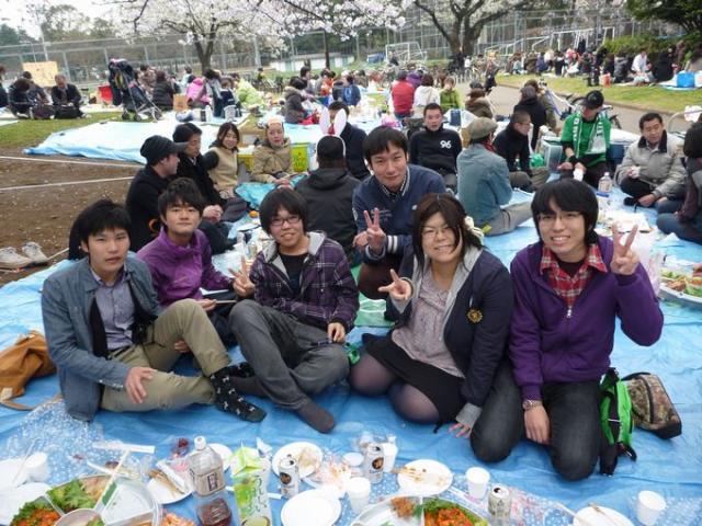 桜満開、そして雨画像