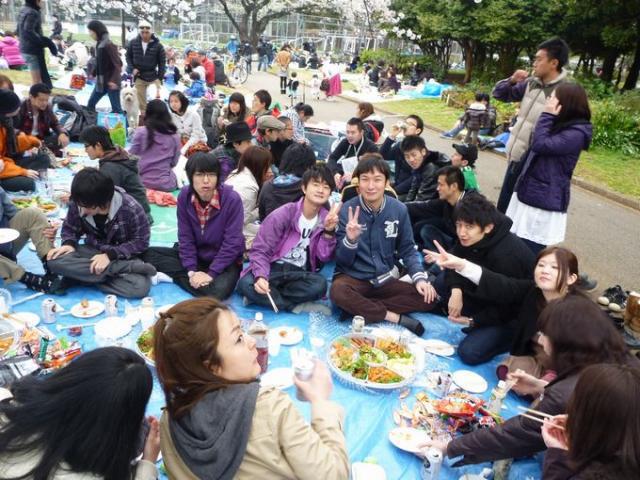 桜満開、そして雨画像