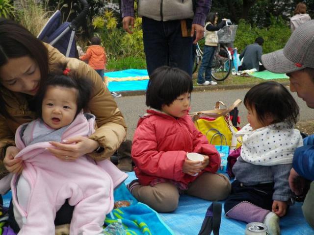 桜満開、そして雨画像