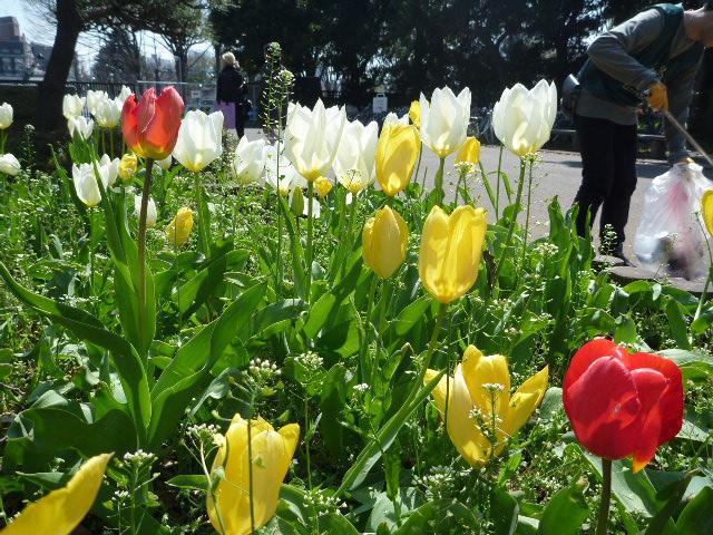 神秘的な出会い。画像