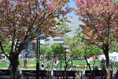 5/22 今年初!半そでおそうじ画像