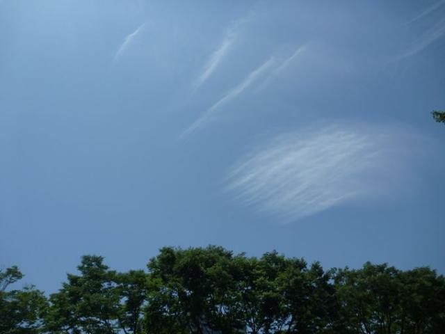 じりじり焦げてくぅーーーー画像