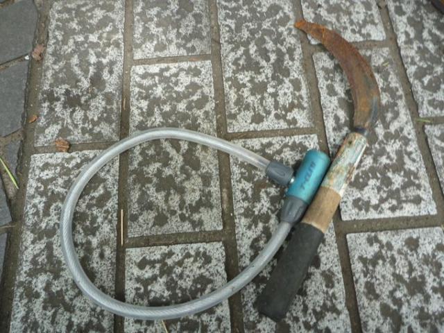 梅雨の中休み☆画像