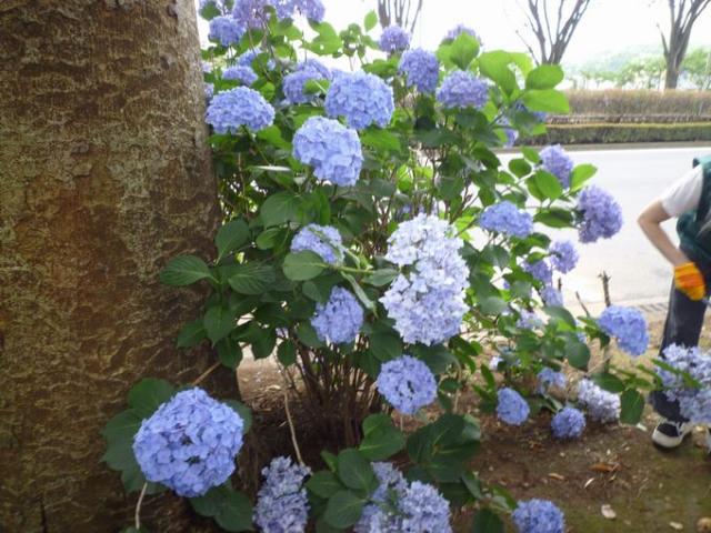 初めてづくし！画像