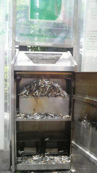 22歳の別れ画像