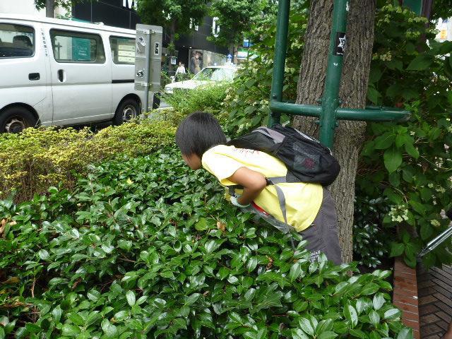 みんな、ナイスバブル！画像