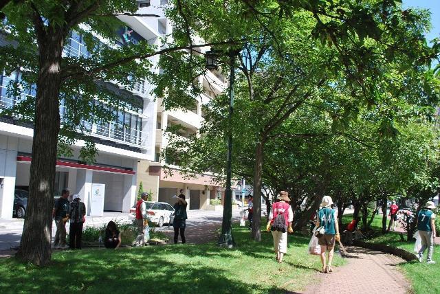 8/28 プレ・ミニ大通お散歩まつり（下枝刈りとおそうじ大作戦）画像