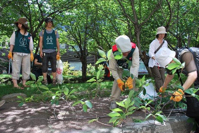 8/28 プレ・ミニ大通お散歩まつり（下枝刈りとおそうじ大作戦）画像