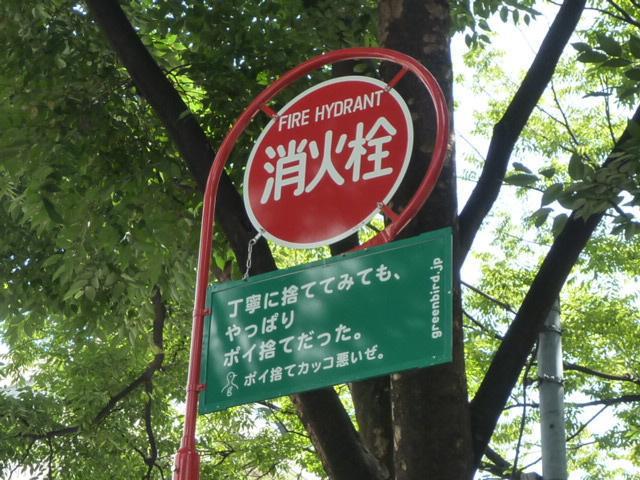 残暑だけど酷暑日画像