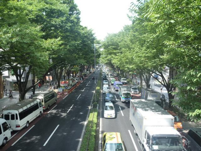 ♪かすかに秋の気配が風をつやめかせ〜画像