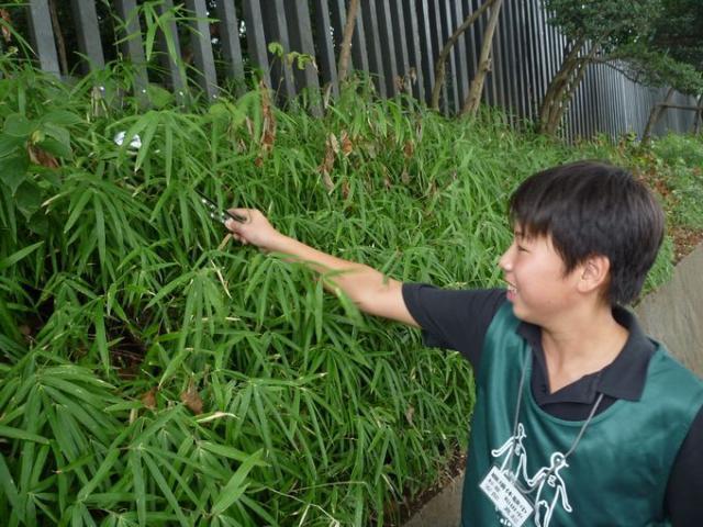 涼しい〜　（ホントに？）画像